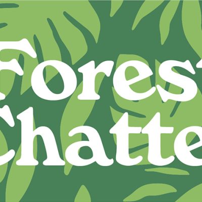 Introducing Forest Chatter our BOS New Zealand News Letter